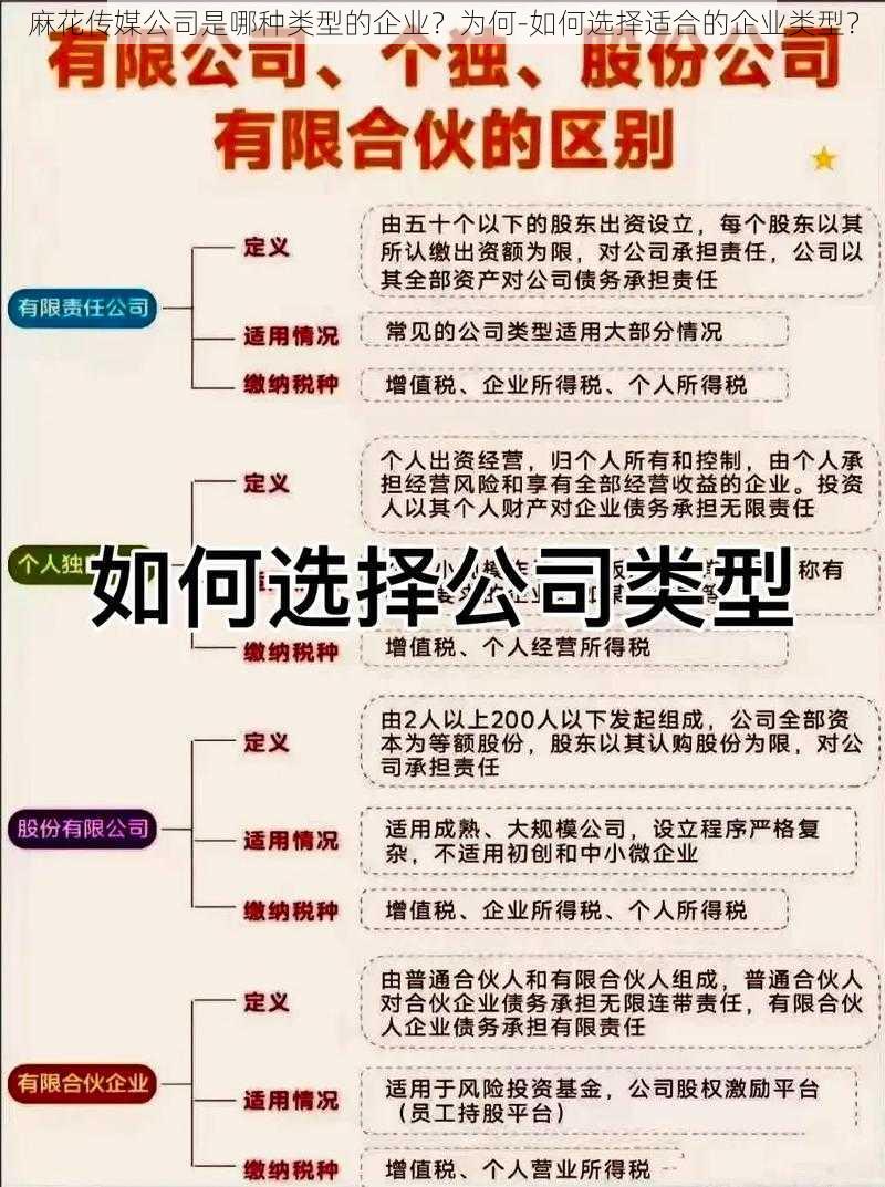 麻花传媒公司是哪种类型的企业？为何-如何选择适合的企业类型？