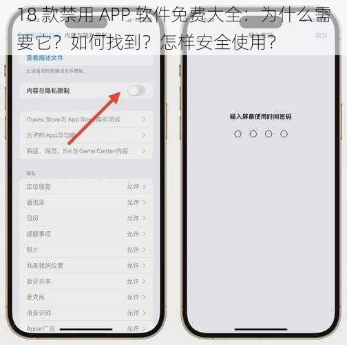 18 款禁用 APP 软件免费大全：为什么需要它？如何找到？怎样安全使用？