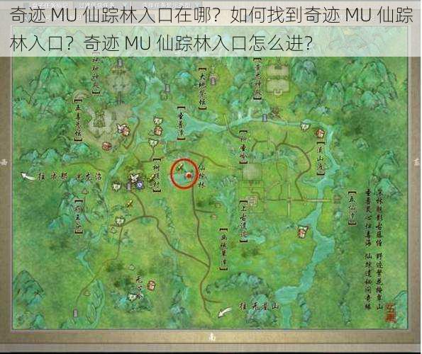 奇迹 MU 仙踪林入口在哪？如何找到奇迹 MU 仙踪林入口？奇迹 MU 仙踪林入口怎么进？