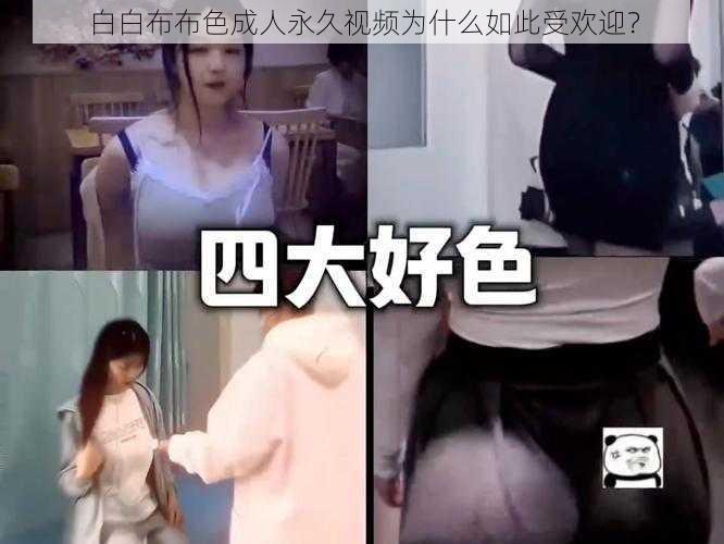 白白布布色成人永久视频为什么如此受欢迎？