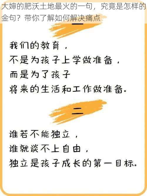 大婶的肥沃土地最火的一句，究竟是怎样的金句？带你了解如何解决痛点