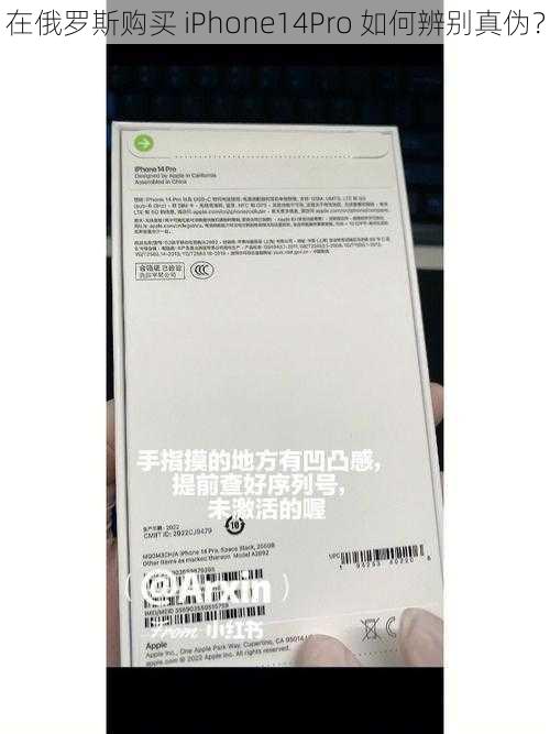 在俄罗斯购买 iPhone14Pro 如何辨别真伪？