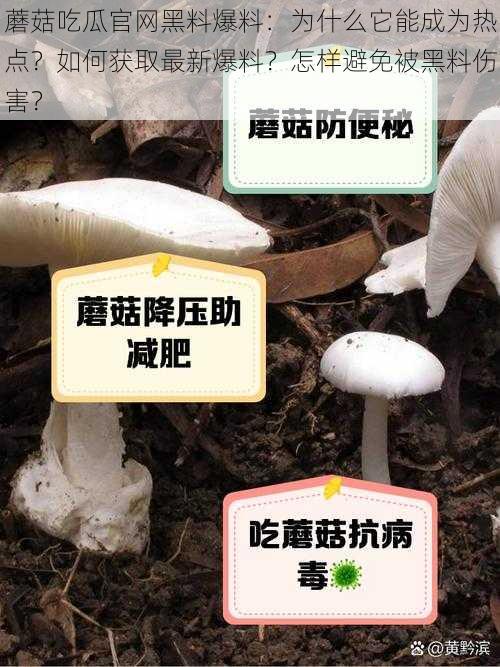 蘑菇吃瓜官网黑料爆料：为什么它能成为热点？如何获取最新爆料？怎样避免被黑料伤害？