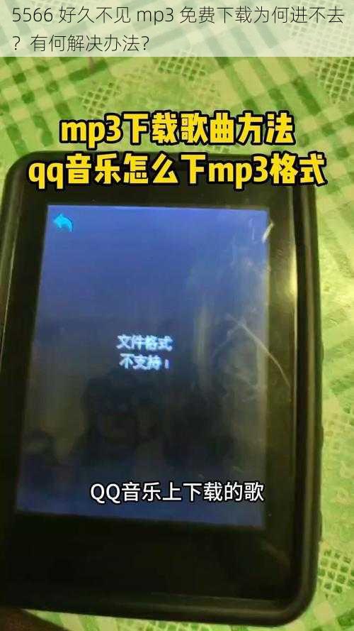 5566 好久不见 mp3 免费下载为何进不去？有何解决办法？