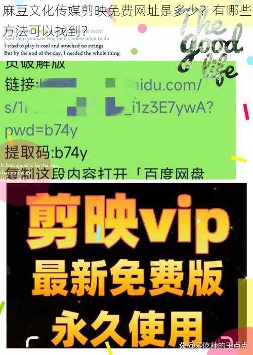 麻豆文化传媒剪映免费网址是多少？有哪些方法可以找到？