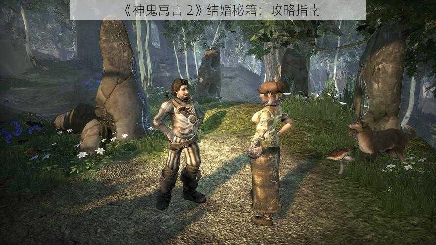 《神鬼寓言 2》结婚秘籍：攻略指南