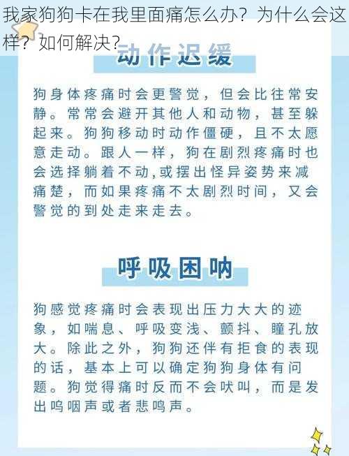 我家狗狗卡在我里面痛怎么办？为什么会这样？如何解决？