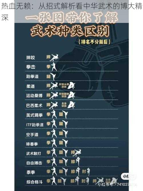 热血无赖：从招式解析看中华武术的博大精深