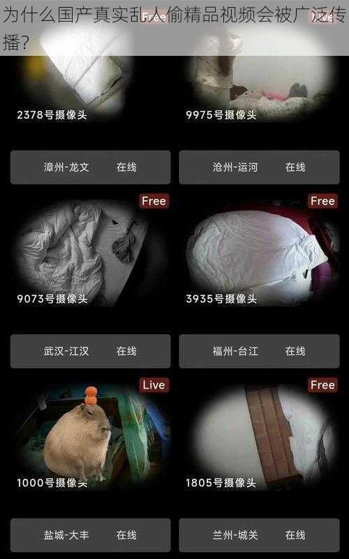 为什么国产真实乱人偷精品视频会被广泛传播？