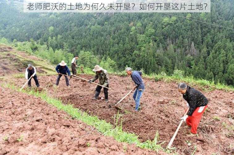 老师肥沃的土地为何久未开垦？如何开垦这片土地？