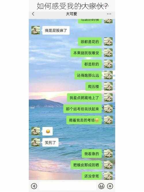 如何感受我的大家伙？