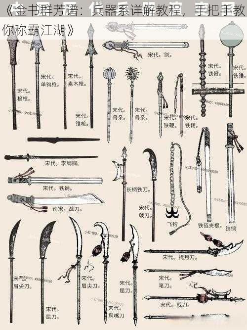 《金书群芳谱：兵器系详解教程，手把手教你称霸江湖》