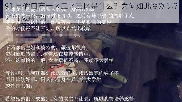 91 国偷自产一区二区三区是什么？为何如此受欢迎？如何找到它们？