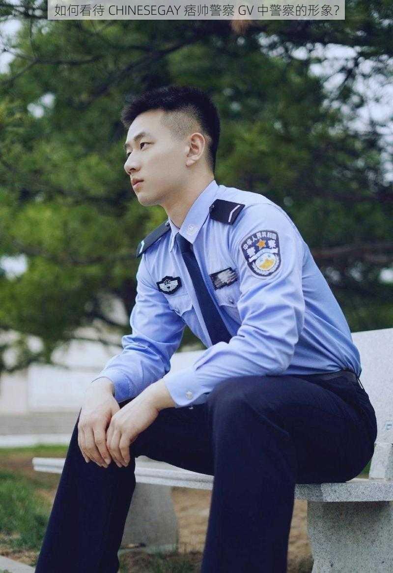 如何看待 CHINESEGAY 痞帅警察 GV 中警察的形象？