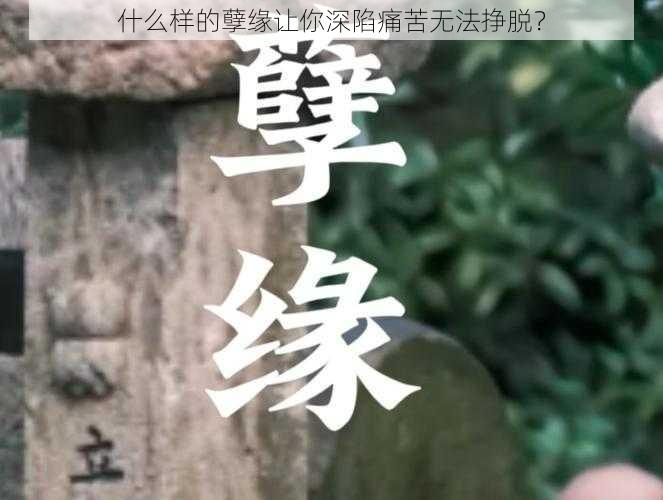 什么样的孽缘让你深陷痛苦无法挣脱？