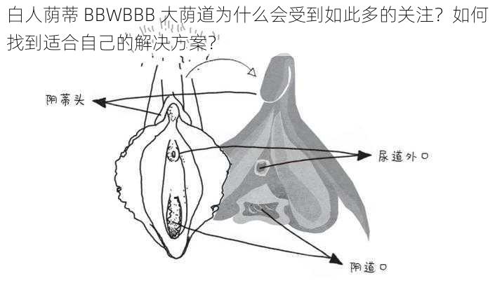 白人荫蒂 BBWBBB 大荫道为什么会受到如此多的关注？如何找到适合自己的解决方案？