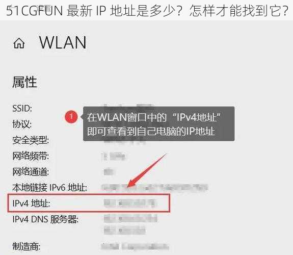 51CGFUN 最新 IP 地址是多少？怎样才能找到它？