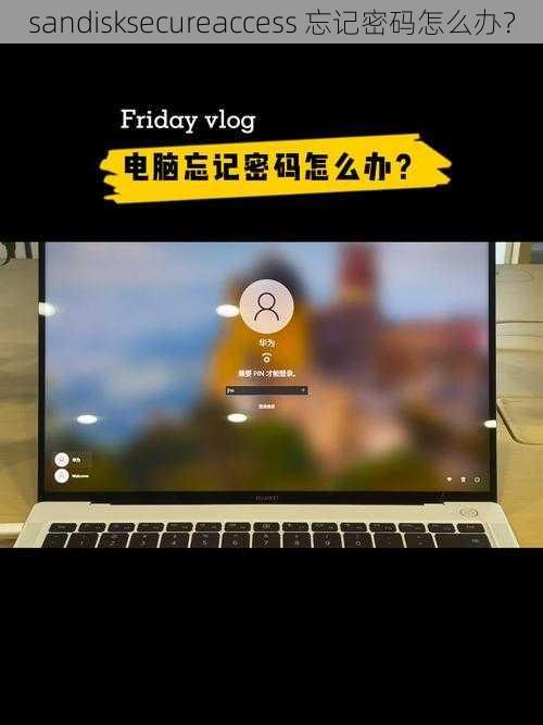 sandisksecureaccess 忘记密码怎么办？