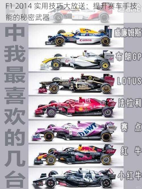 F1 2014 实用技巧大放送：提升赛车手技能的秘密武器