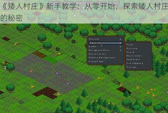 《矮人村庄》新手教学：从零开始，探索矮人村庄的秘密