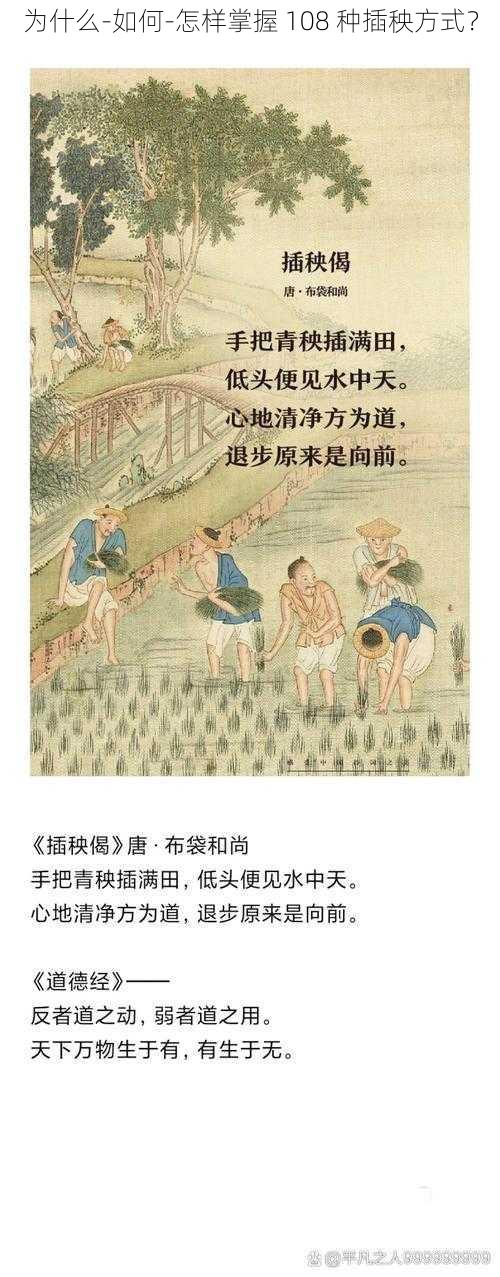 为什么-如何-怎样掌握 108 种插秧方式？