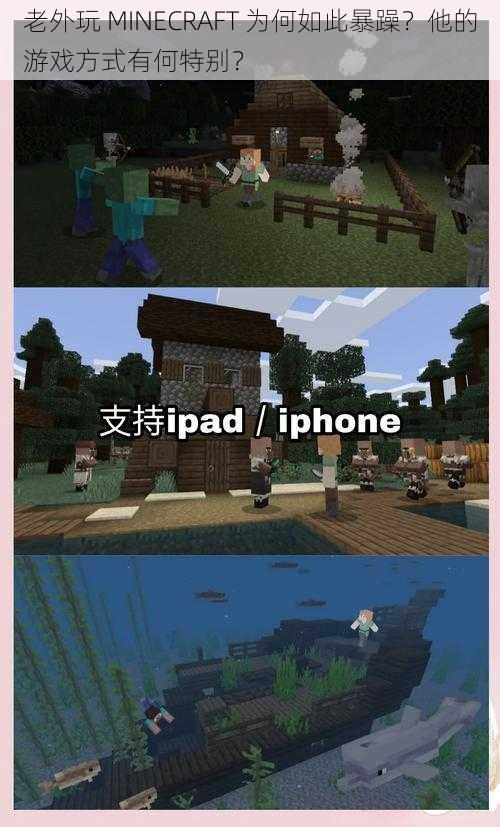 老外玩 MINECRAFT 为何如此暴躁？他的游戏方式有何特别？