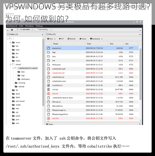 VPSWINDOWS 另类极品有超多线路可选？为何-如何做到的？