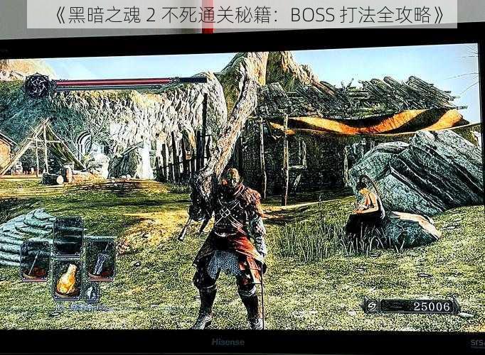 《黑暗之魂 2 不死通关秘籍：BOSS 打法全攻略》