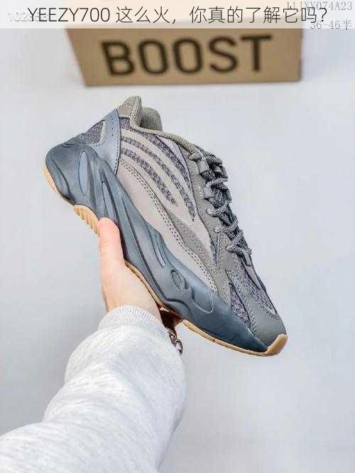 YEEZY700 这么火，你真的了解它吗？