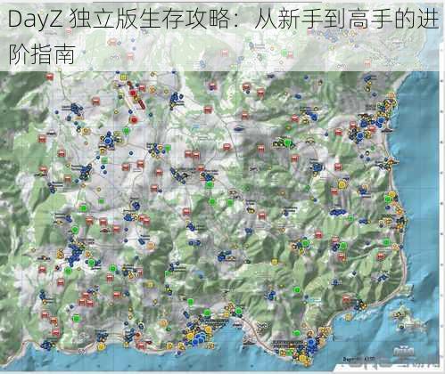 DayZ 独立版生存攻略：从新手到高手的进阶指南