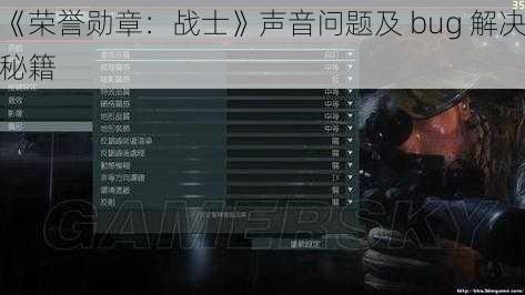 《荣誉勋章：战士》声音问题及 bug 解决秘籍