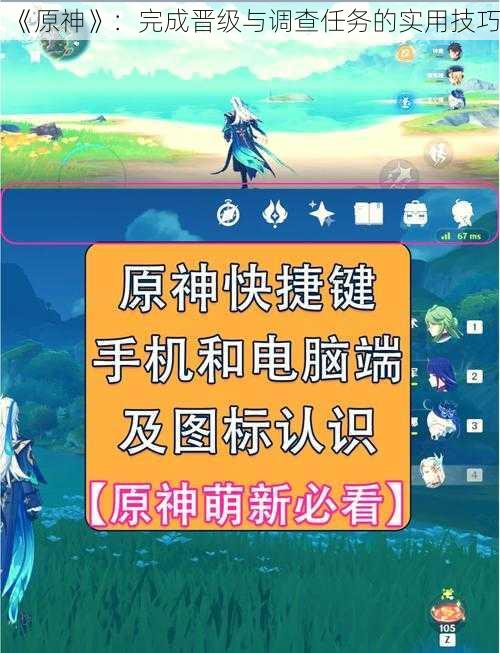 《原神》：完成晋级与调查任务的实用技巧