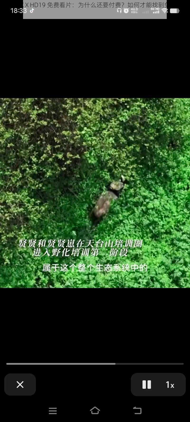 69 ΧΧΧΧⅩHD19 免费看片：为什么还要付费？如何才能找到免费资源？