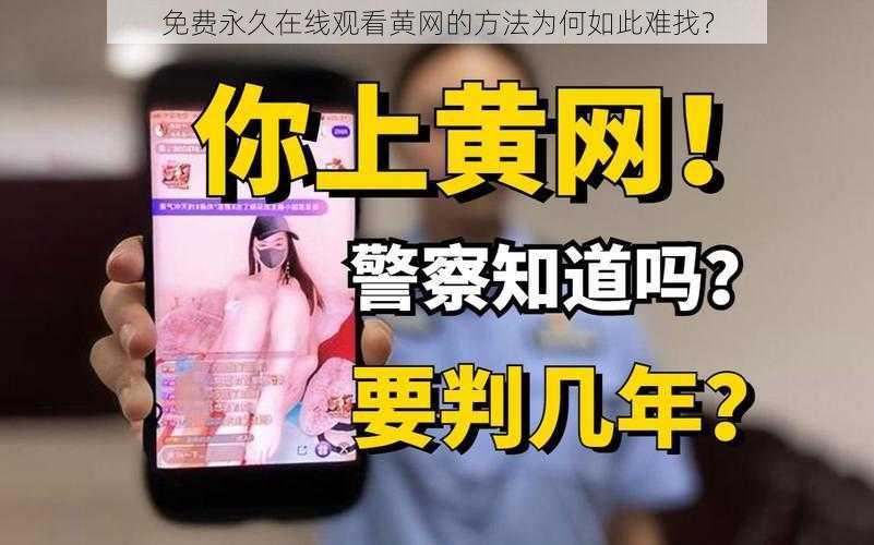 免费永久在线观看黄网的方法为何如此难找？