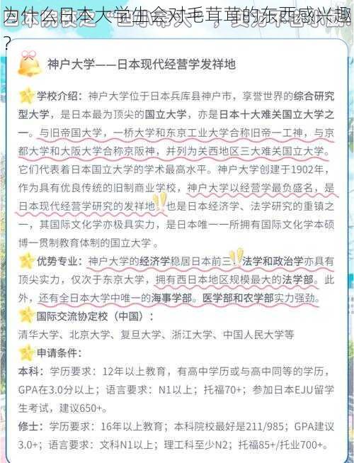 为什么日本大学生会对毛茸茸的东西感兴趣？