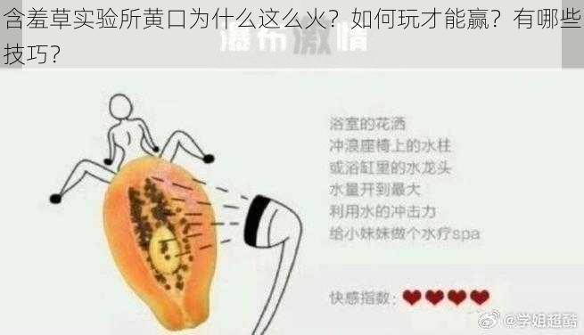 含羞草实验所黄口为什么这么火？如何玩才能赢？有哪些技巧？