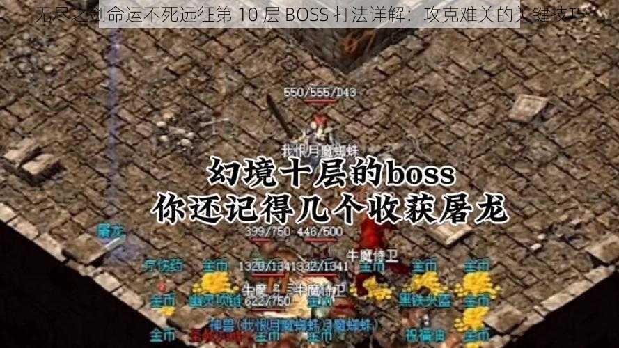 无尽之剑命运不死远征第 10 层 BOSS 打法详解：攻克难关的关键技巧