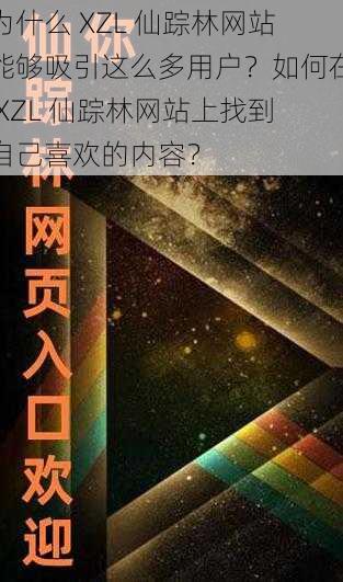 为什么 XZL 仙踪林网站能够吸引这么多用户？如何在 XZL 仙踪林网站上找到自己喜欢的内容？