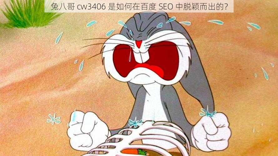 兔八哥 cw3406 是如何在百度 SEO 中脱颖而出的？