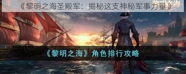 《黎明之海圣殿军：揭秘这支神秘军事力量》