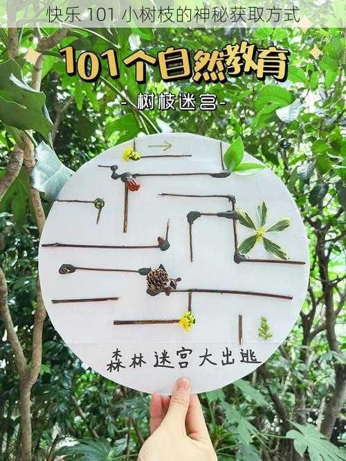 快乐 101 小树枝的神秘获取方式