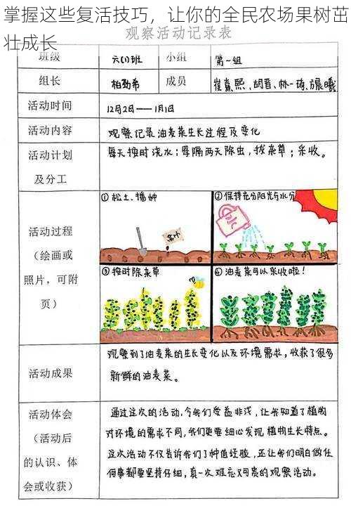 掌握这些复活技巧，让你的全民农场果树茁壮成长