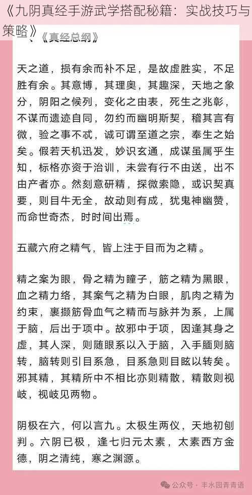 《九阴真经手游武学搭配秘籍：实战技巧与策略》