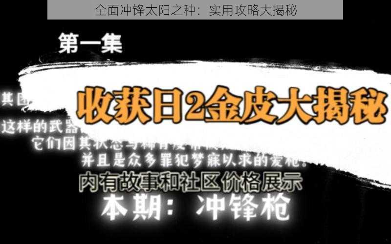 全面冲锋太阳之种：实用攻略大揭秘