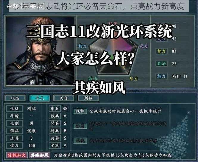 少年三国志武将光环必备天命石，点亮战力新高度