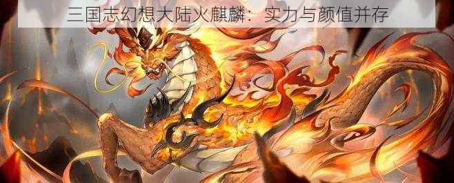 三国志幻想大陆火麒麟：实力与颜值并存