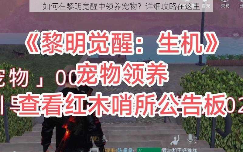 如何在黎明觉醒中领养宠物？详细攻略在这里