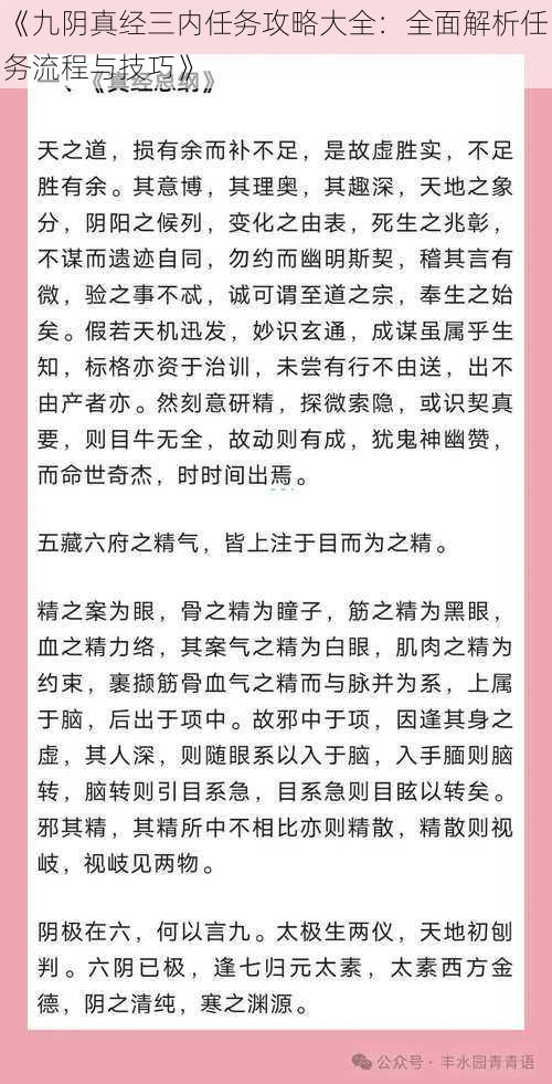 《九阴真经三内任务攻略大全：全面解析任务流程与技巧》